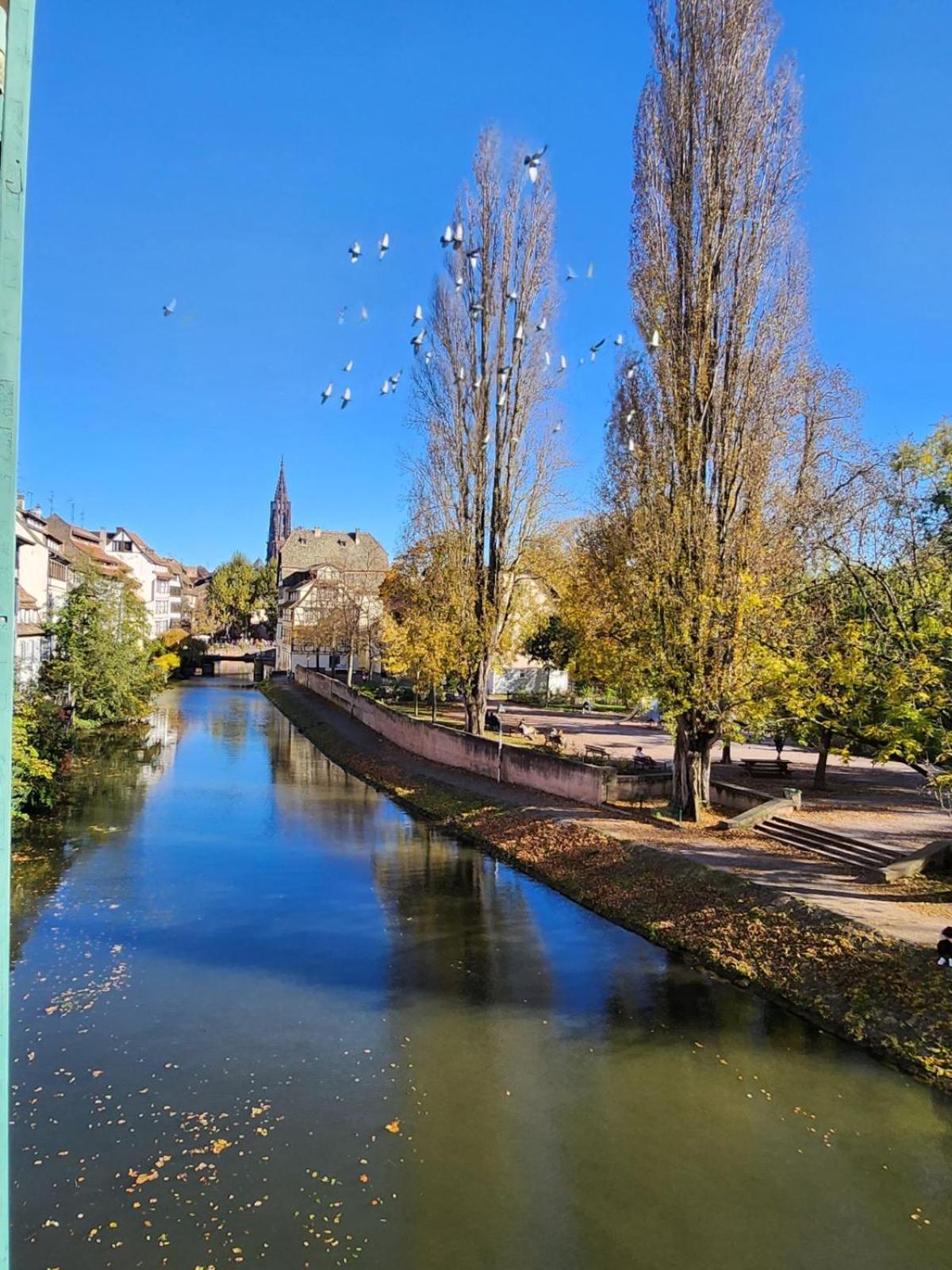 Appartement La Petite Alsacienne Straatsburg